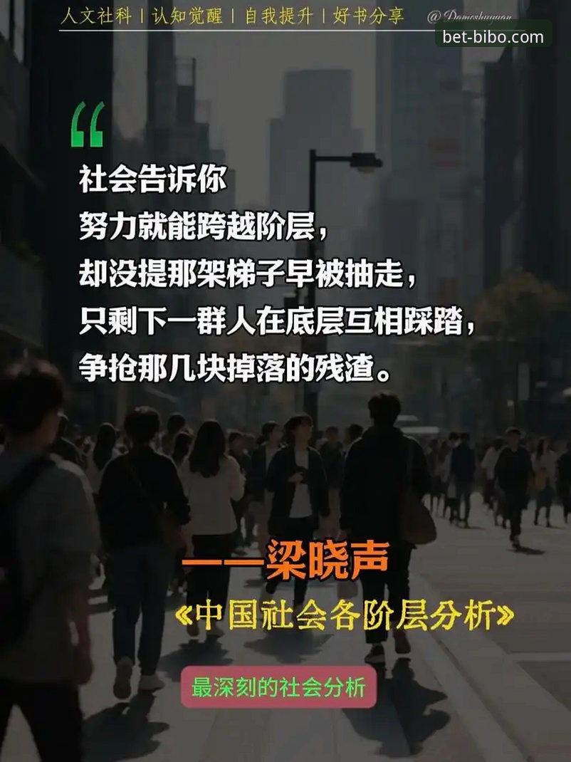 深度揭秘：必博BIBO手机版下载教程背后的真相与实操指南