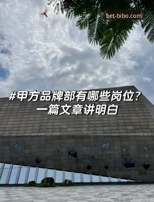 资深技术评测员解析：必博BIBO下载安全吗怎么样及官方渠道实战经验